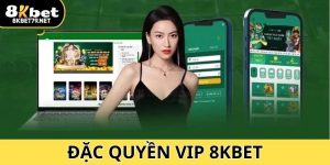Đặc Quyền VIP 8Kbet - Siêu Ưu Đãi Chỉ Có Tại Sân Chơi