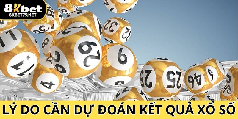 Lý do hội viên nên dự đoán kết quả xổ số mỗi ngày