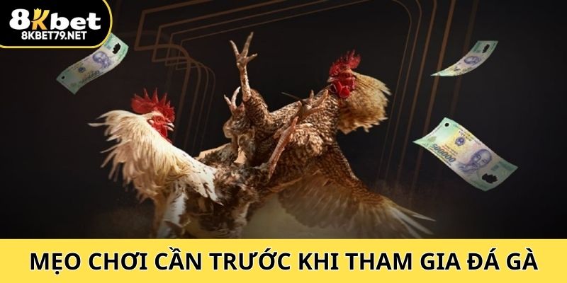 Mẹo chơi cần phải biết trước khi tham gia đá gà