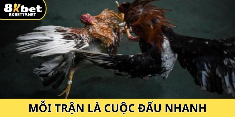 Mỗi trận là cuộc đấu nhanh, quyết liệt và đầy tính sát phạt