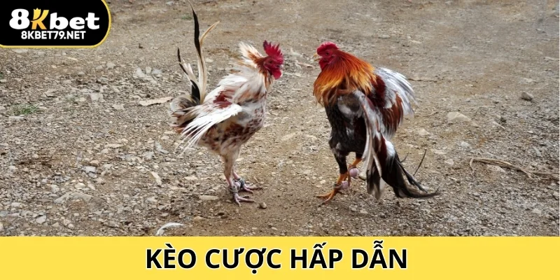 Trực tuyến đỉnh cao với chất lượng và kèo cược hấp dẫn tại Đá Gà 8Kbet