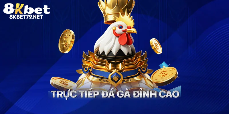 Trực tiếp đá gà đỉnh cao